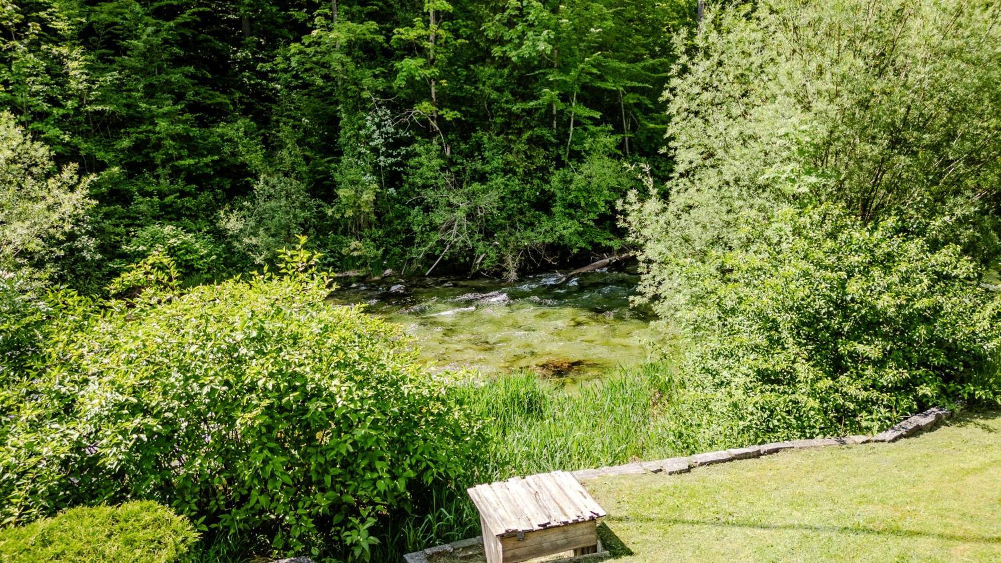 Ferienwohnung Traunplatzl Bad Aussee Exteriör bild